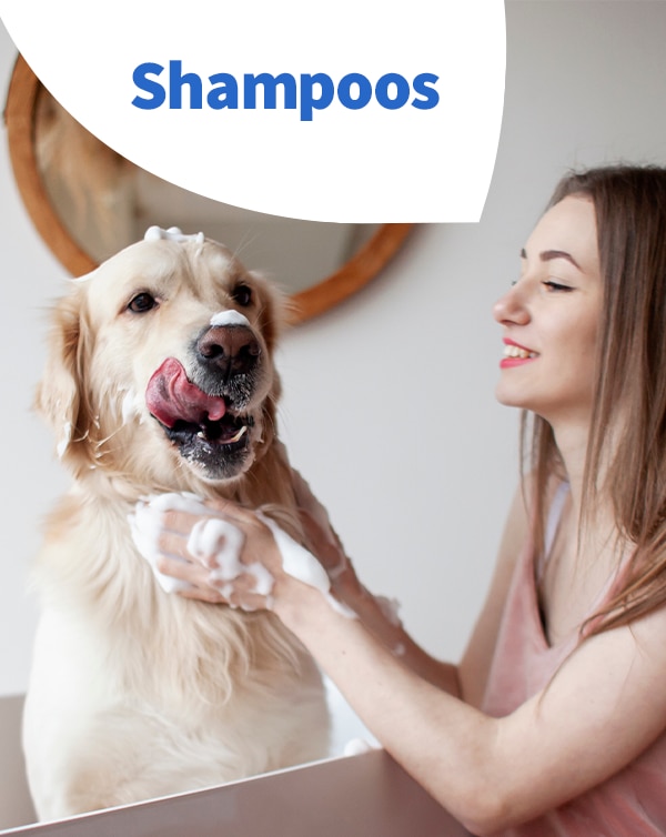 Shampoos